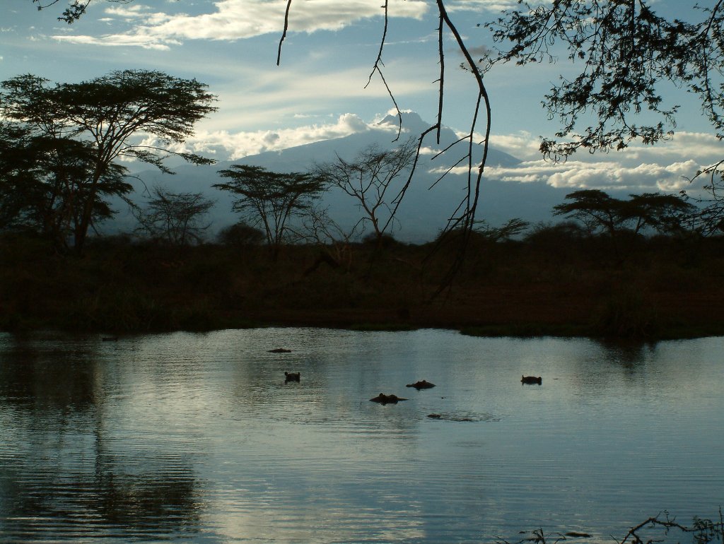 01-Kilimanjaro at sunset.jpg - Kilimanjaro at sunset